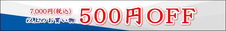 20250221の500円OFF
