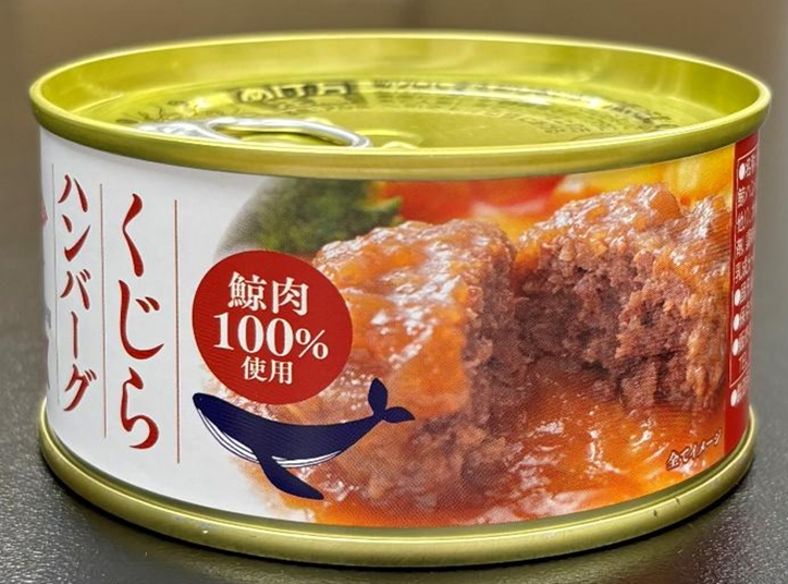 鯨ハンバーグ 和風おろしソース